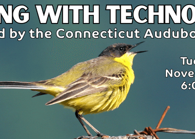 Birding with Technology presented by the Connecticut Audubon Society on Tuesday, November 10 at 6 PM.